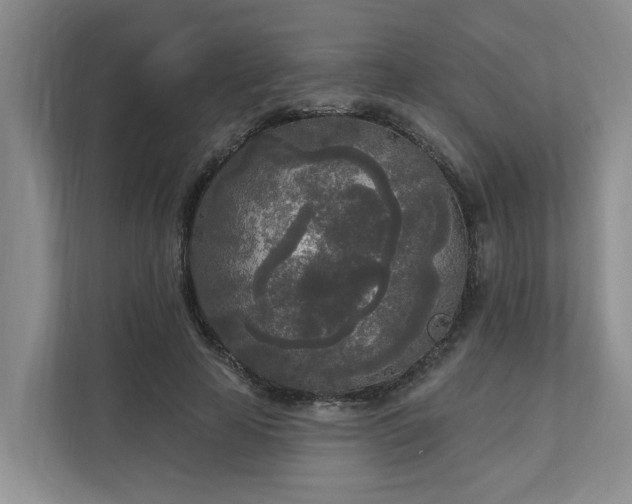 X0000111170641200907011350