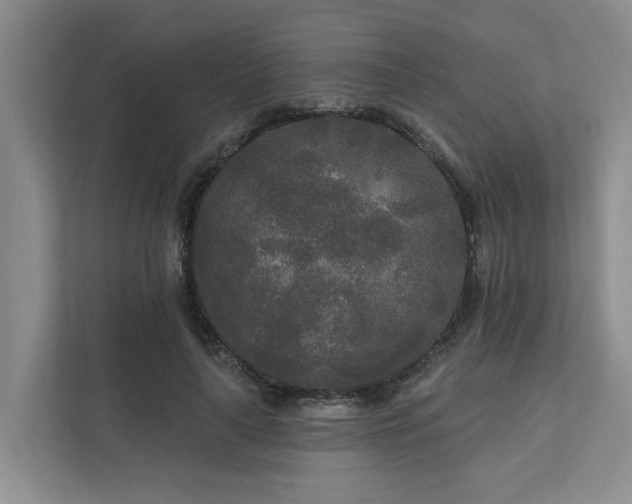 X0000111170643200907011350