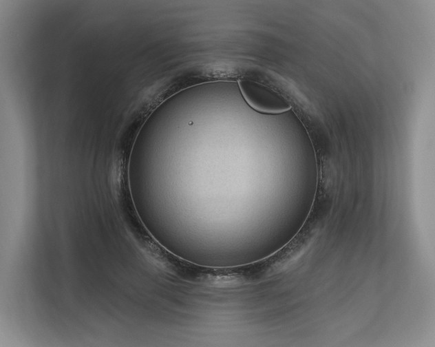 X0000111170645200907011350