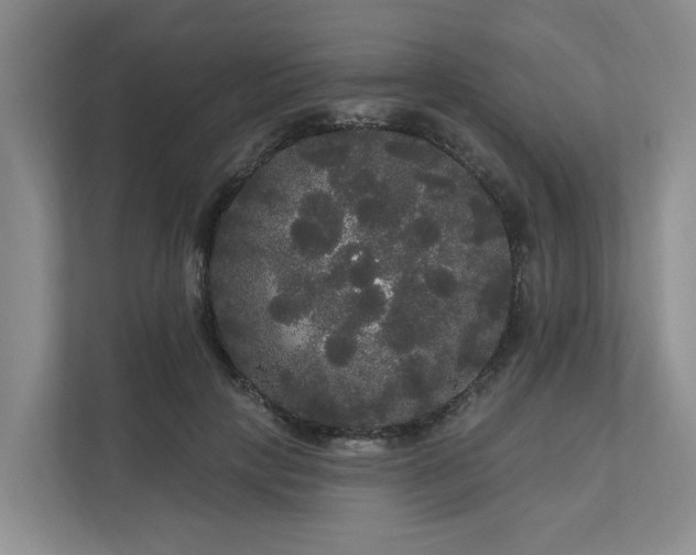 X0000111170649200907011350