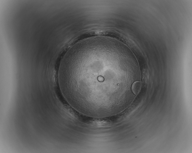 X0000111170650200907011350