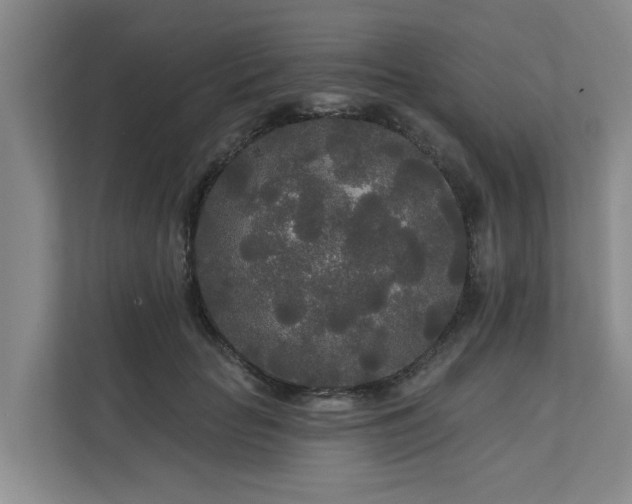 X0000111170653200907011350