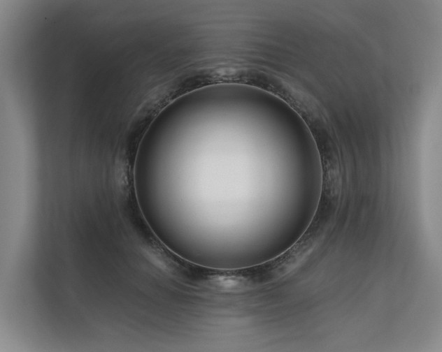 X0000111170654200907011350