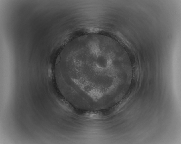 X0000111170655200907011350