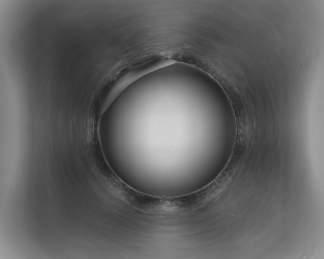 X0000111170656200907011350