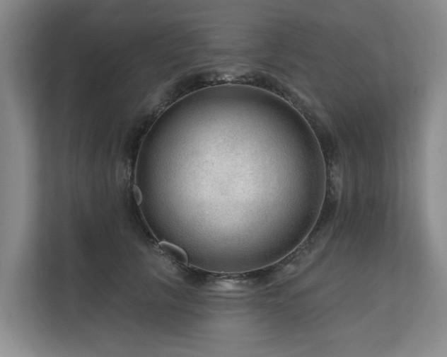 X0000111170657200907011350