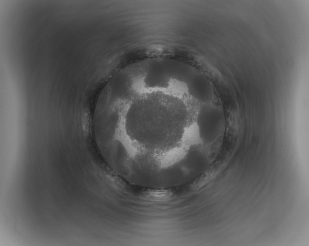 X0000111170659200907011350