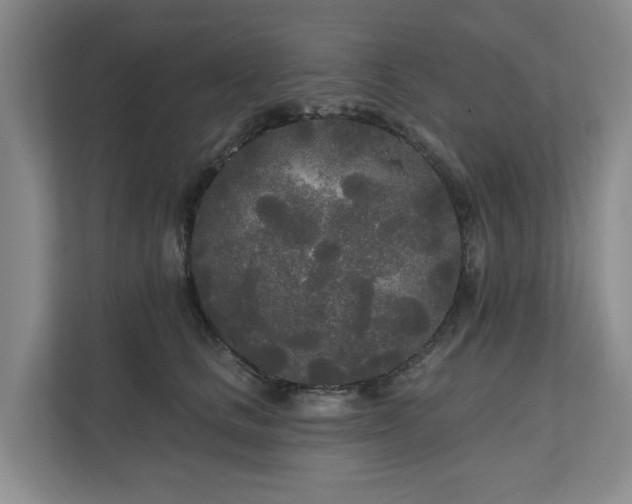 X0000111170661200907011350