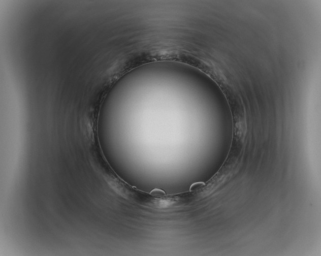 X0000111170662200907011350