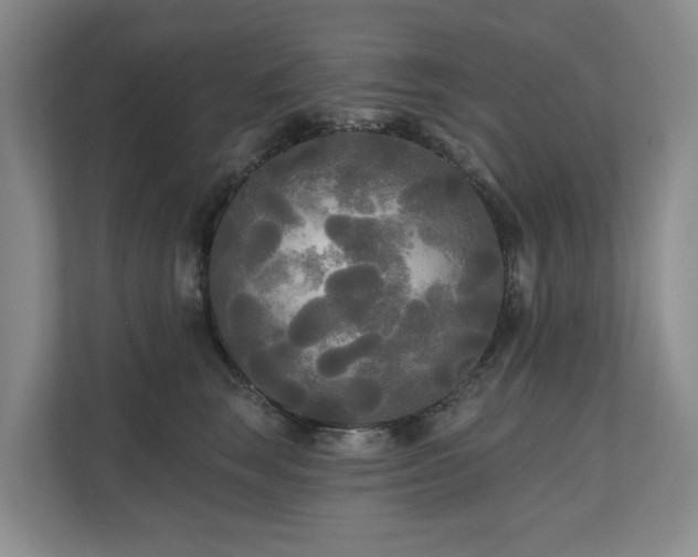 X0000111170663200907011350