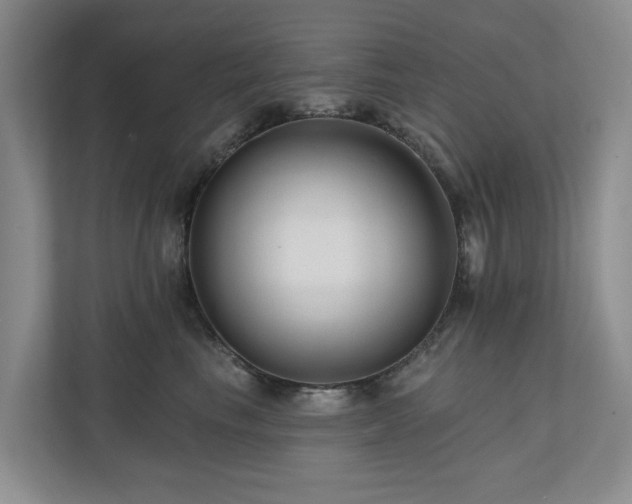 X0000111170665200907011350