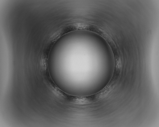 X0000111170666200907011350