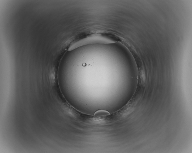 X0000111170668200907011350