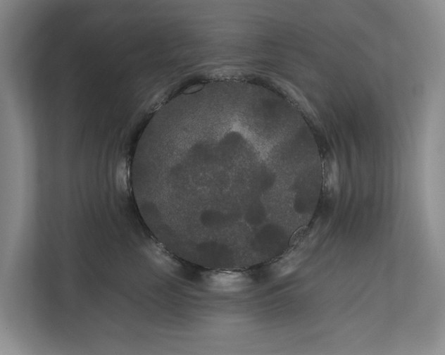 X0000111170669200907011350