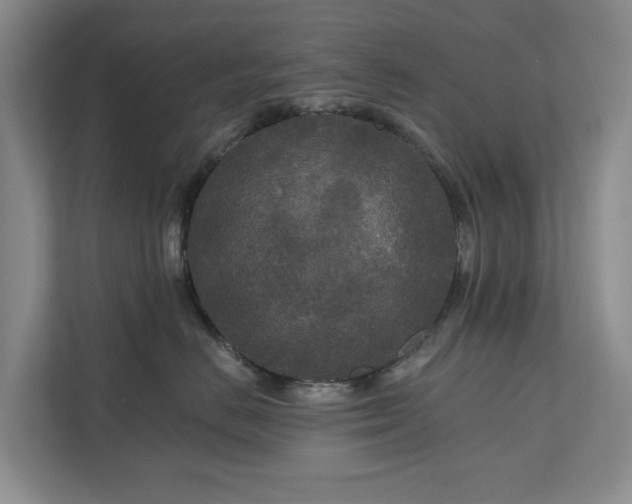 X0000111170670200907011350