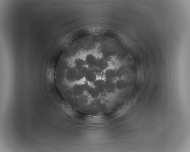 X0000111170671200907011350