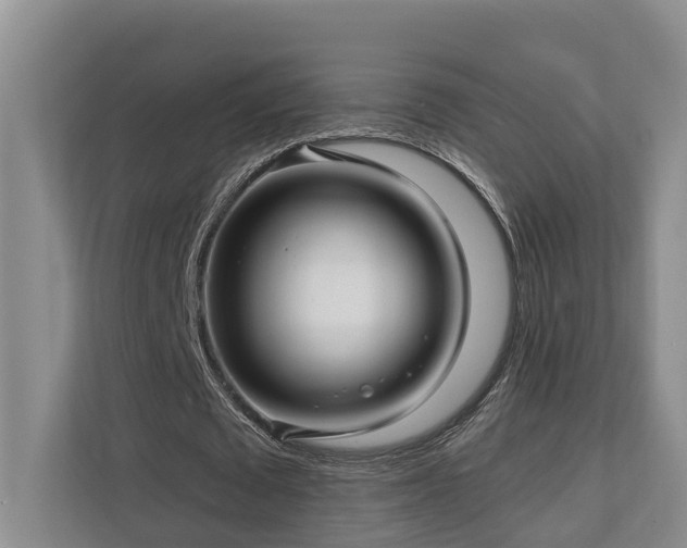 X0000111170673200907011350