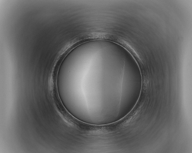 X0000111170674200907011350