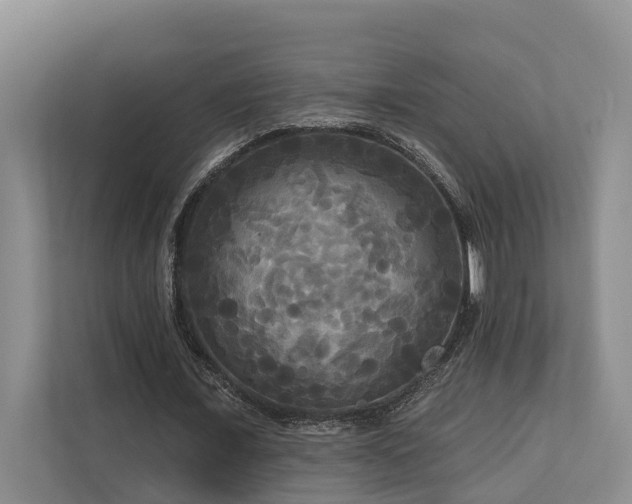 X0000111170675200907011350