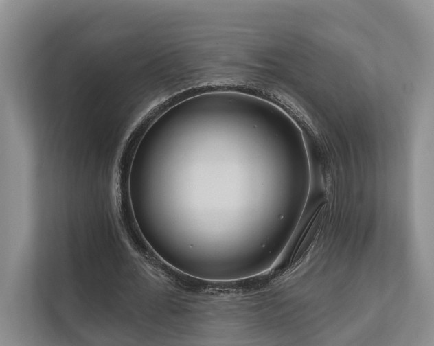 X0000111170676200907011350