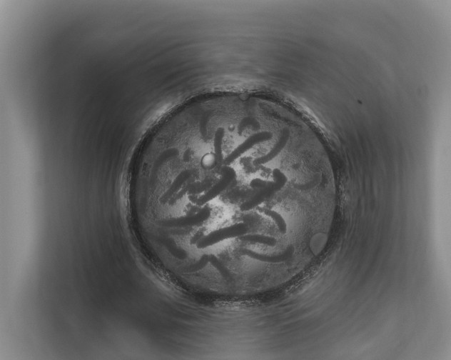 X0000111170679200907011350