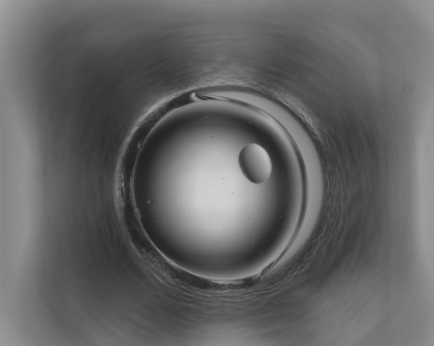 X0000111170680200907011350