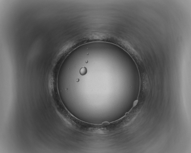 X0000111170683200907011350