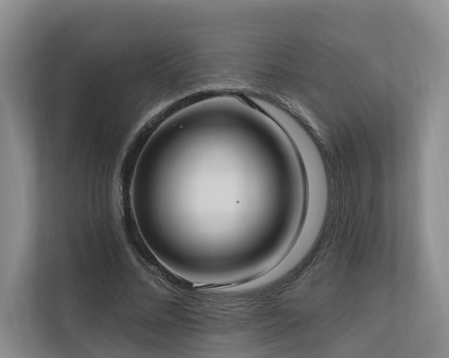 X0000111170684200907011350