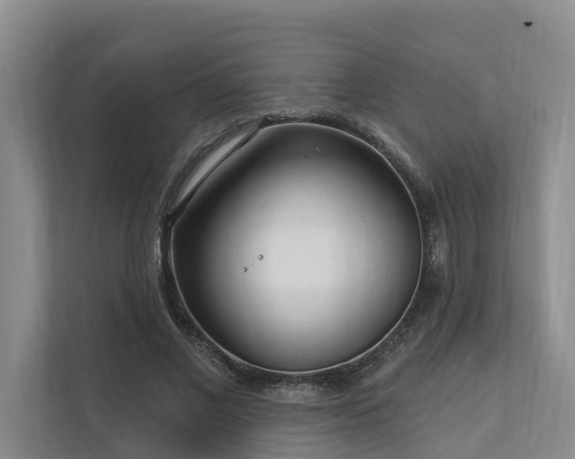 X0000111170685200907011350