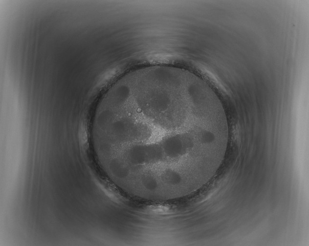 X0000111170687200907011350