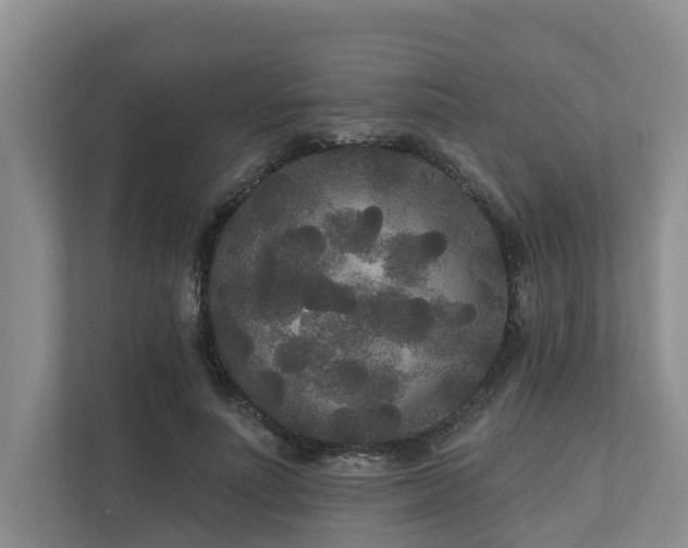 X0000111170691200907011350