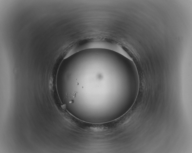 X0000111170693200907011350