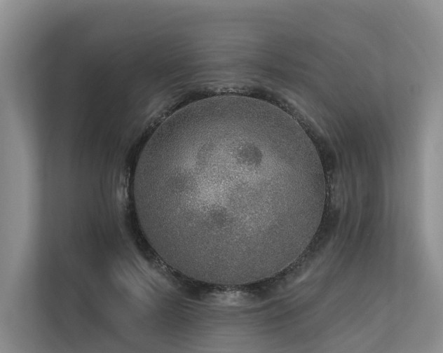 X0000111170695200907011350