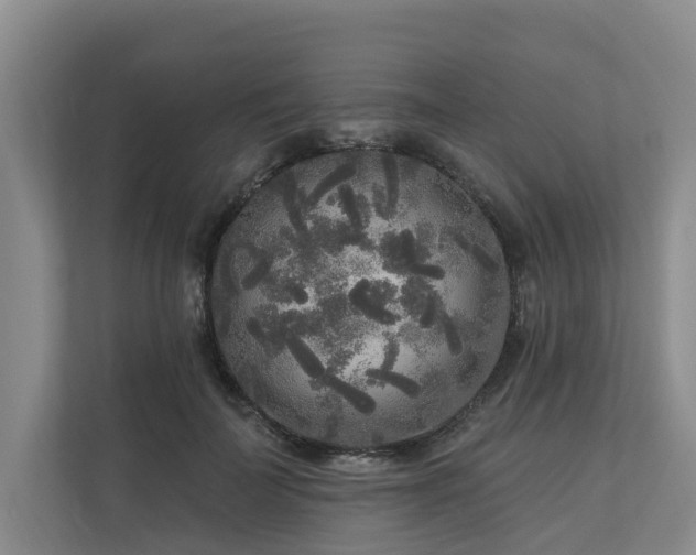 X0000111170699200907011350