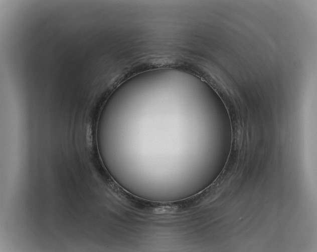 X0000111170700200907011350