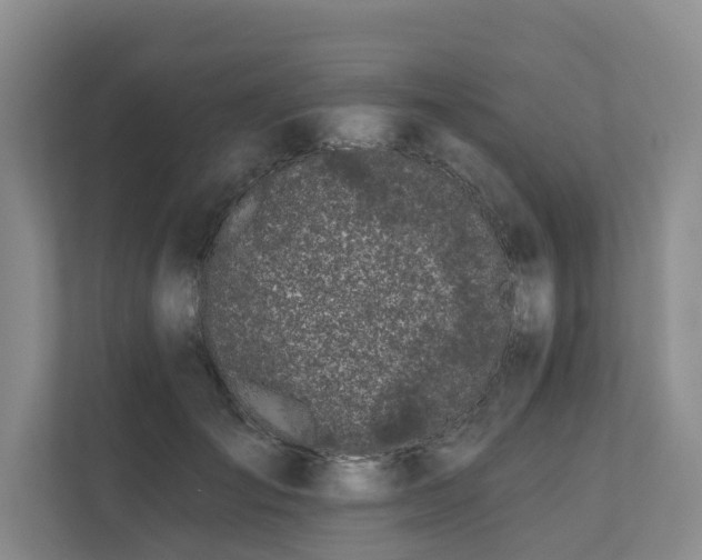 X0000111170701200907011349