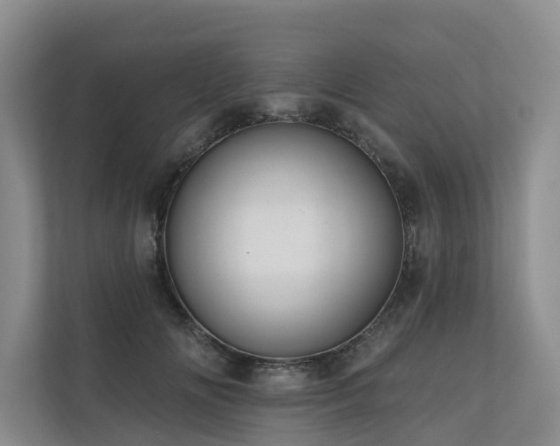 X0000111170702200907011349