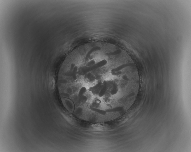 X0000111170703200907011349