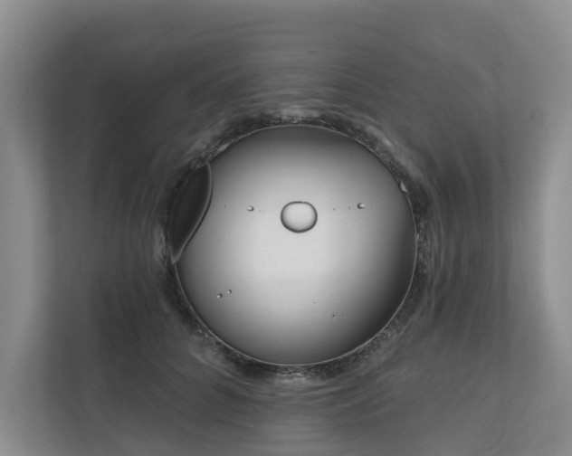 X0000111170704200907011349