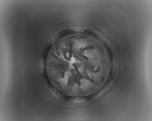 X0000111170707200907011349