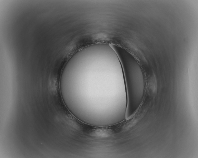 X0000111170708200907011349