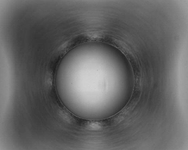 X0000111170710200907011349