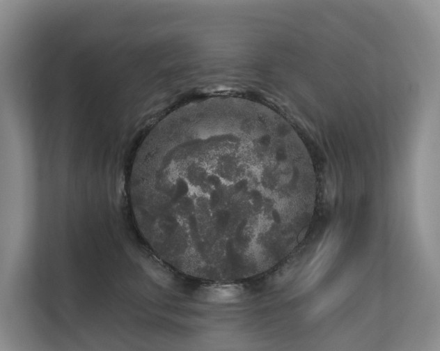 X0000111170711200907011349