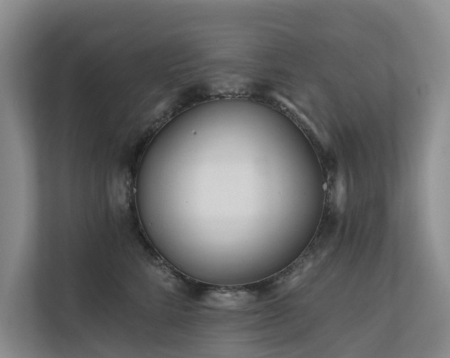 X0000111170712200907011349