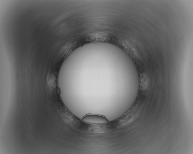 X0000111170713200907011349