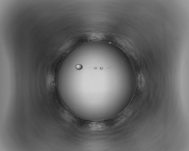 X0000111170714200907011349