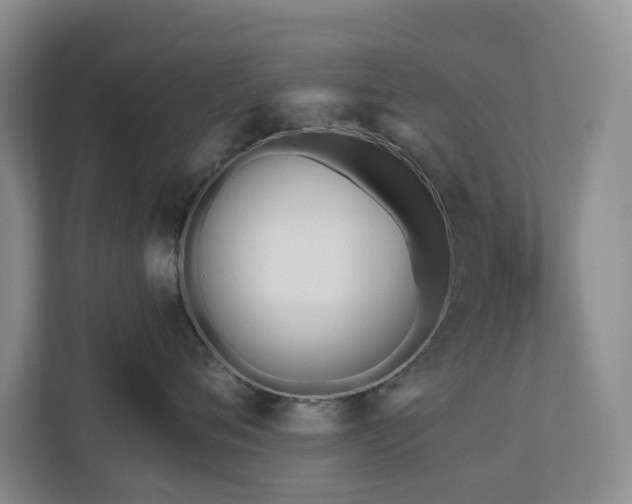 X0000111170720200907011349