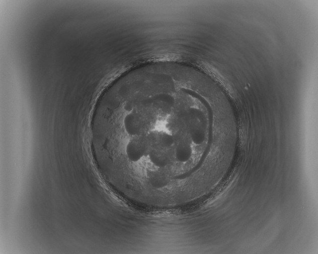 X0000111170721200907011349