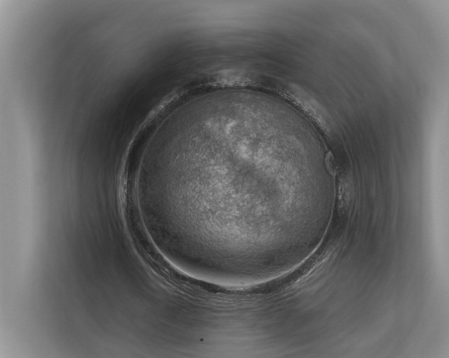 X0000111170722200907011349