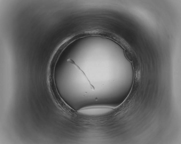 X0000111170724200907011349